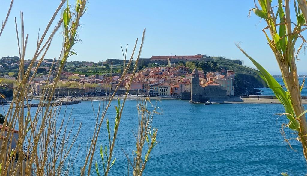 Le Clos Saint Elme Collioure Kültér fotó