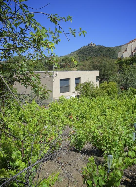 Le Clos Saint Elme Collioure Kültér fotó
